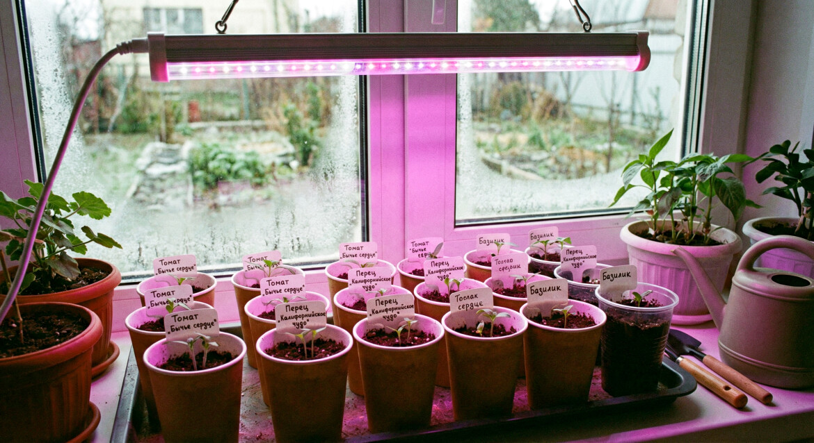 Наши планы на конец зимы