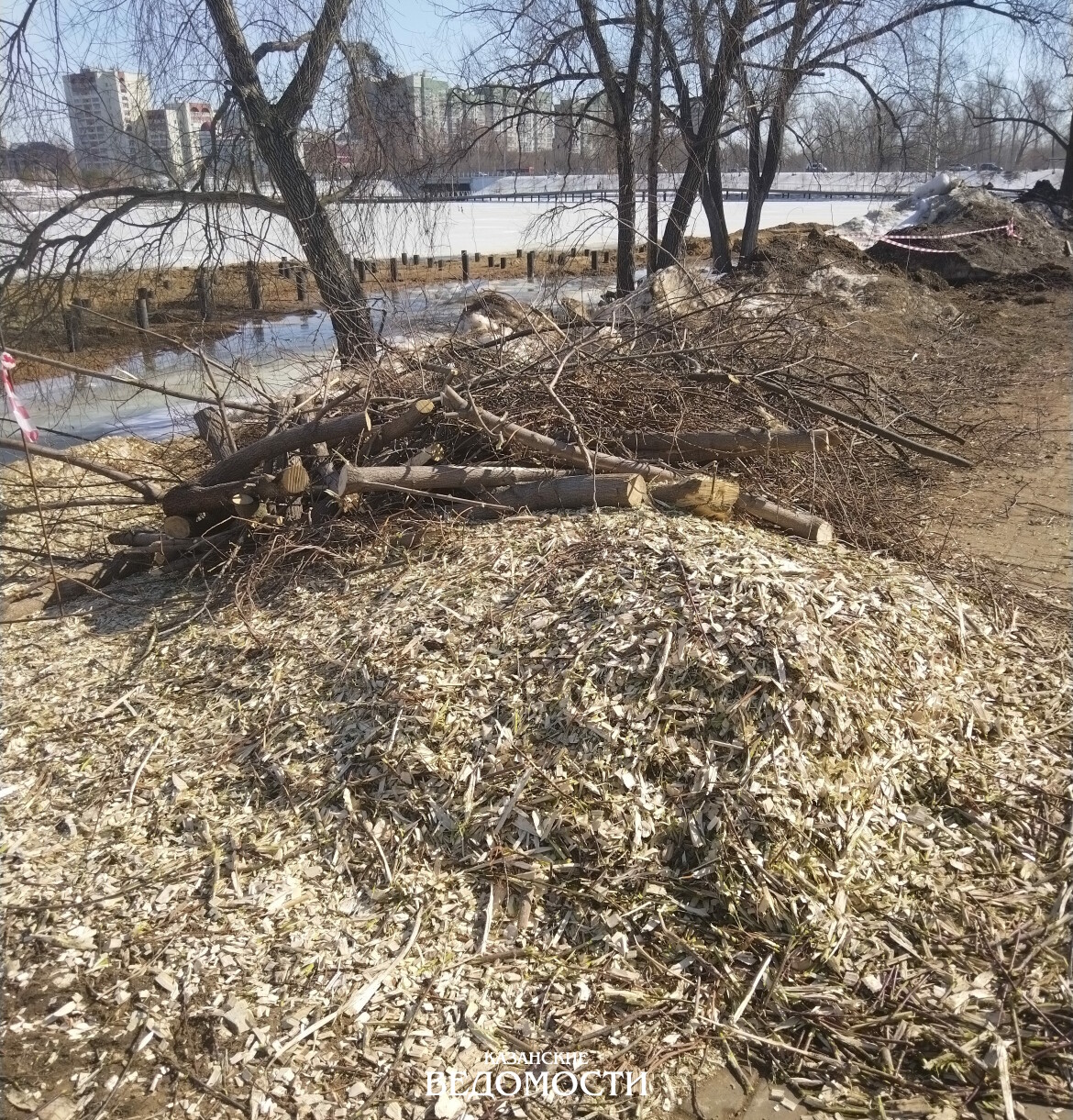 Казанцам рассказали, для чего у озера Кабан вырубили деревья