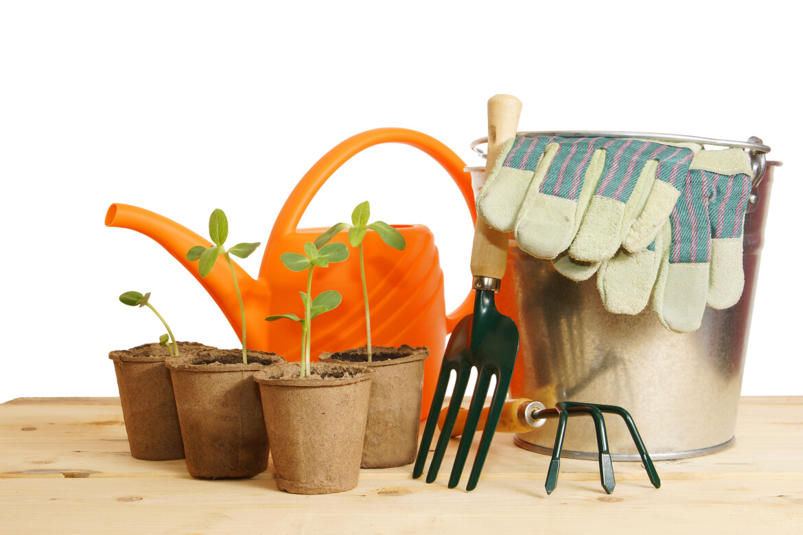 Обратный отсчет поможет разобраться со сроками посадки семян