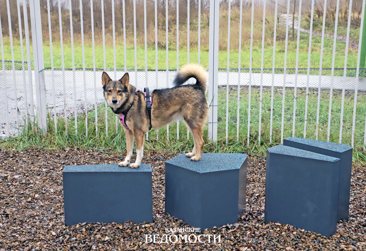 Ошибки, которые могут  стоить дорого