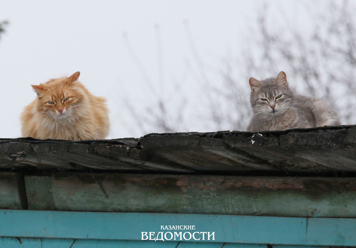 В Казани обновлены еще три мартовских температурных рекорда