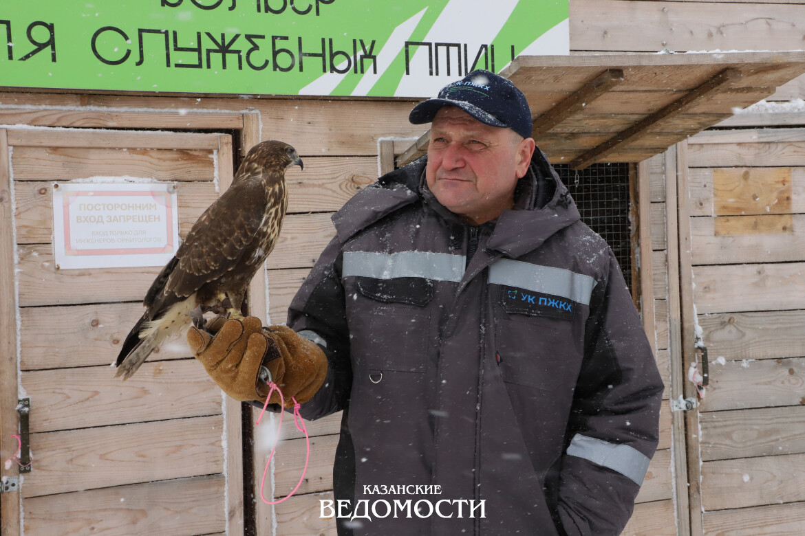 Крылатый патруль полигона «Восточный»:  Элем и Трифон на страже порядка и чистоты