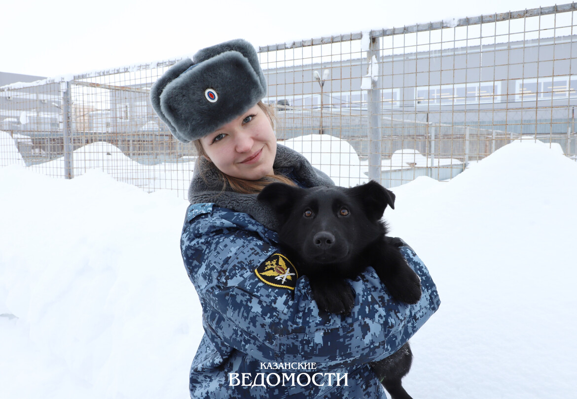 Как в Татарстане растят служебных собак