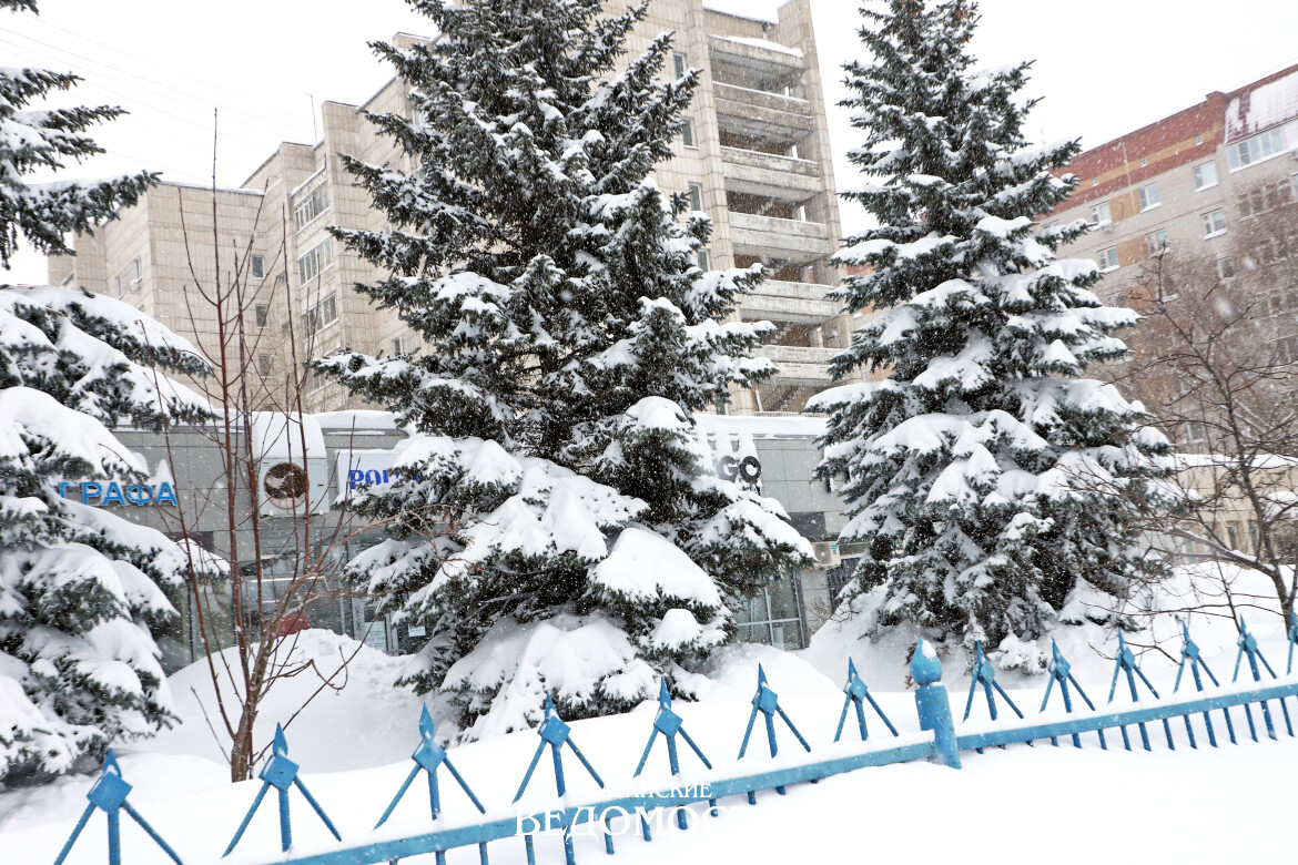 Февраль и морозом ударит, и вьюгами заметет, и без капели не обойдется