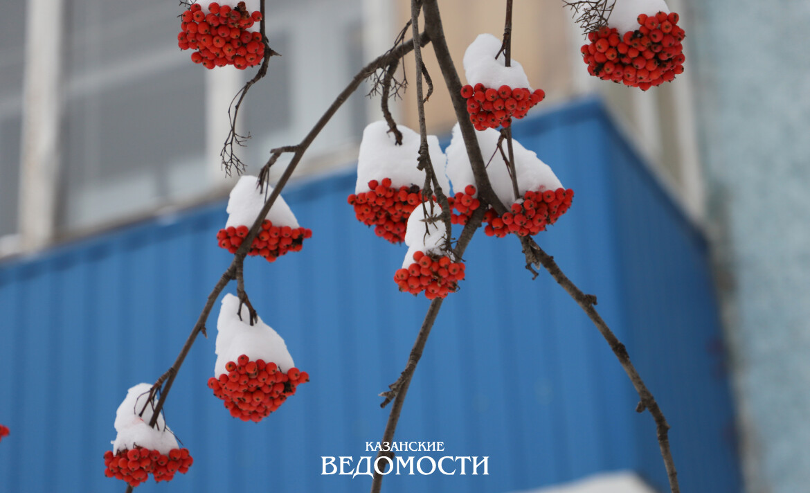 «Зима пришла с опозданием, но с силой»: как в Татарстане за 3 дня установился снежный покров