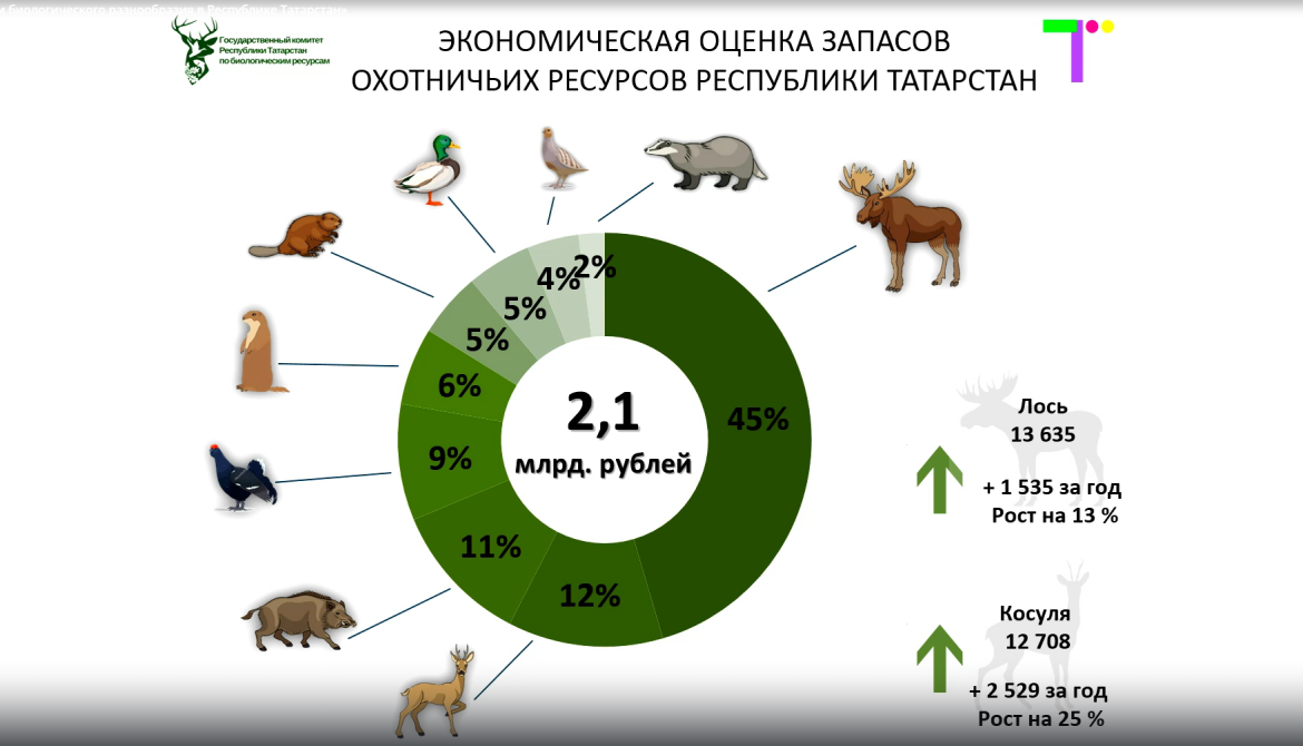 Из числа в животных. Охотничьи ресурсы. Животные Республики Татарстан. Виды диких животных диаграмма.