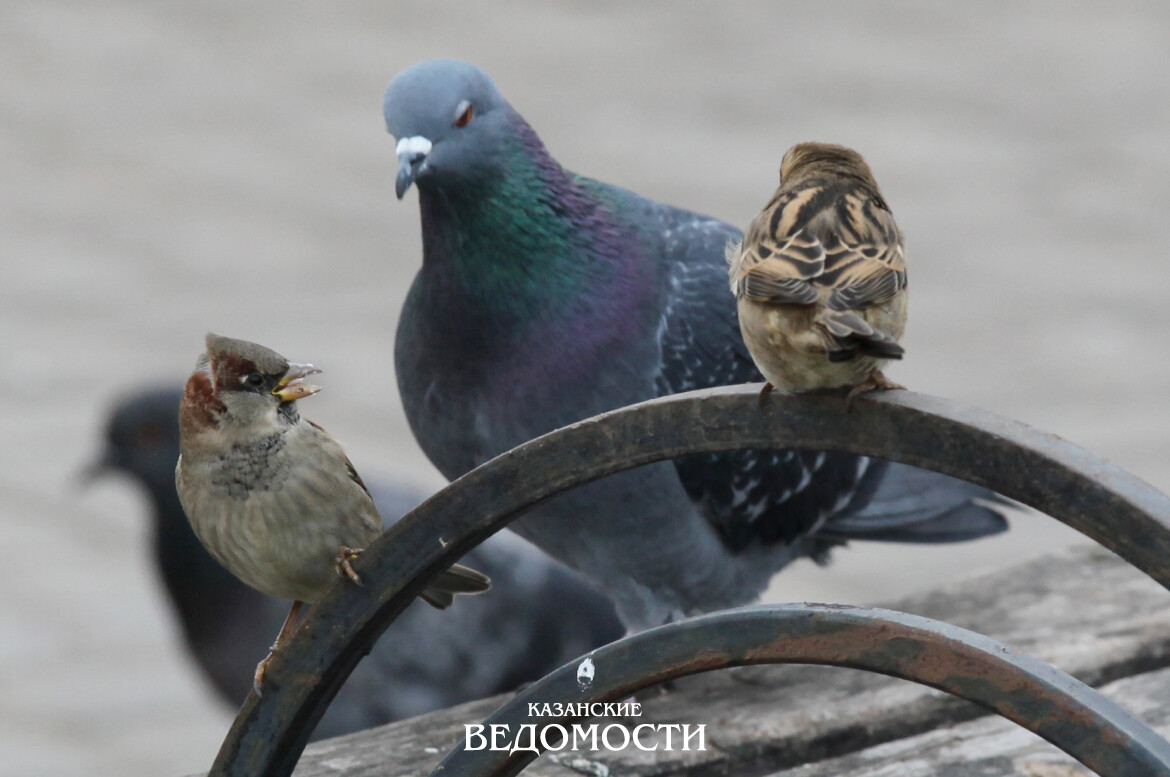 Апрель ввел «антивесенние санкции»
