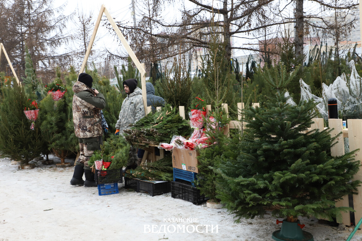 Почем елки и сосны на базарах Казани?