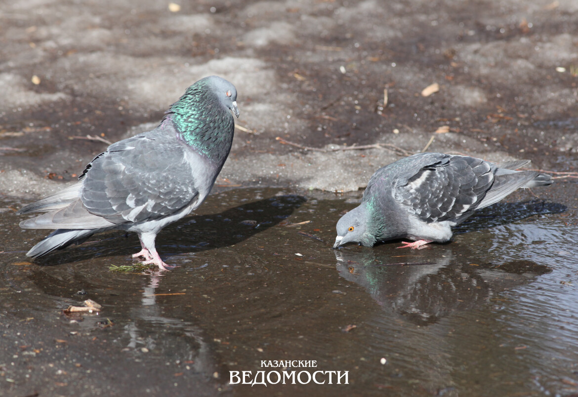 Март в Татарстане после морозов демонстрирует апрельский характер