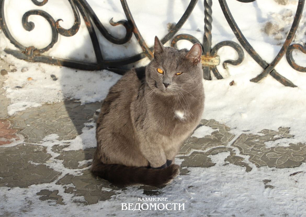 По силам ли марту растопить рекордные сугробы в Казани?