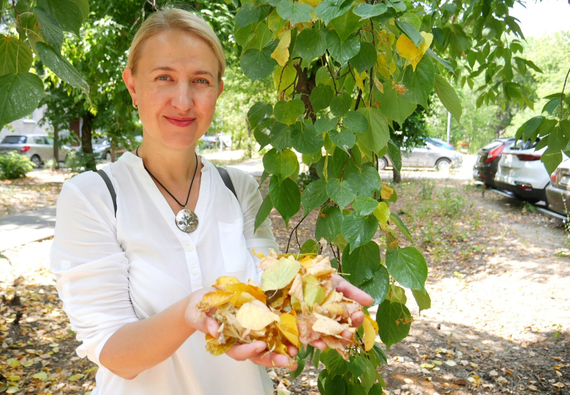 «Это сто процентов засуха»: почему листопад в Казани стартовал в начале июля