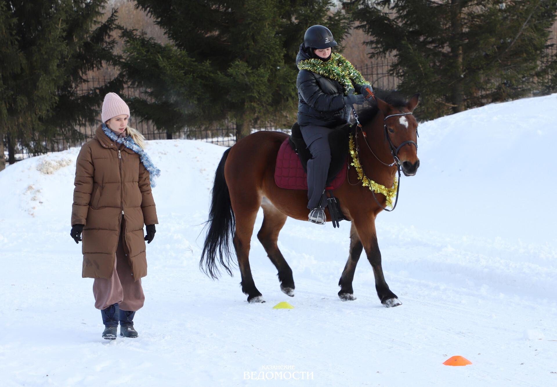 Чему учат лошади детей с ОВЗ