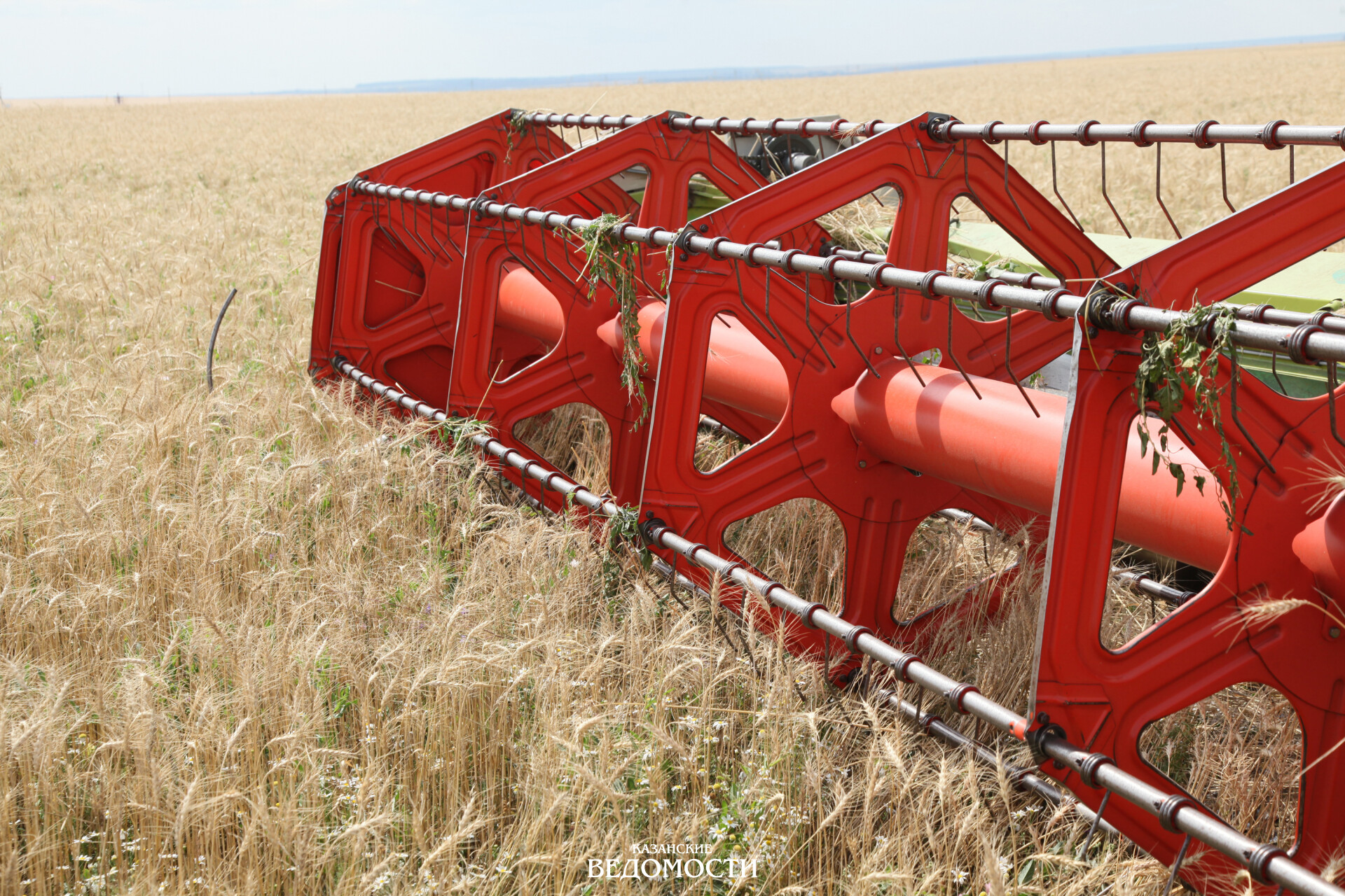 На съезде аграриев России назвали проблемы  в сельском хозяйстве