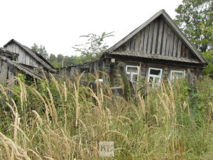 Татарстанцы для летнего отдыха выбирают заброшенные дачи и дома