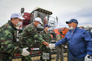 В Татарстане убрали почти половину площадей зерновых 