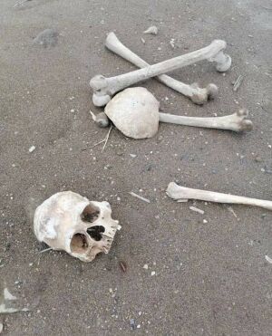 Блогеры проверили пляж с человеческими костями в Камском Устье: они там, из черепа сделали чучело