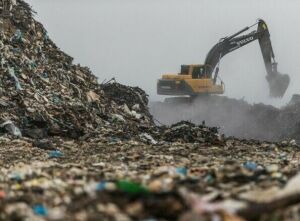 «Загрязнения воздуха — ощутимая проблема»: как черви-«вегетарианцы» спасут Казань от мусорных свалок