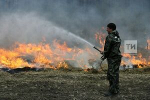 «Безалаберность приводит к таким результатам»: в Татарстане возросло число пожаров 