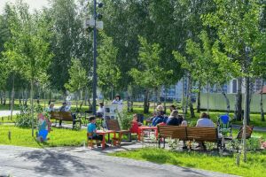Смотровой мост и зоны для пикника: как будет выглядеть парк «Березовая роща» в Зеленодольске
