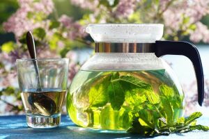 От мелиссы до ромашки: какие травы и как собирать для чая