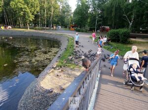 Парк Урицкого в Казани: «стена любви», птичий двор и лавочки в помете
