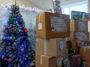 «Наше общее дело»: сотрудники «Татмедиа» отправили новогодние подарки детям подшефного Лисичанска