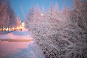 В Татарстане до 9 декабря объявили штормовое предупреждение из-за аномальных холодов