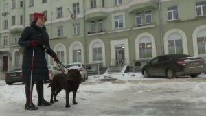 Глаза, помощник и спасатель: как живется незрячему с собакой-поводырем в Казани