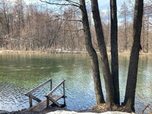 Вместо шашлыка и купания — любовь и созерцание: какие изменения ждут территорию Голубых озер