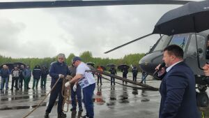 На аэродроме КВЗ «Русский Халк» установил новый рекорд, отбуксировав 3 вертолета весом 15 тонн