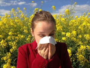 Сезон цветения и заложенного носа: как справиться с весенней аллергией?