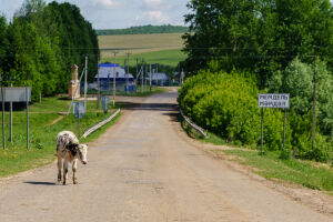 «Казалось бы, одна буква, а последствия…»: в Татарстане нашли расхождения в названиях 38 деревень