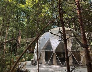 Дом на дереве, юрты и палатки: где и почем отдохнуть за городом одному или с близкими