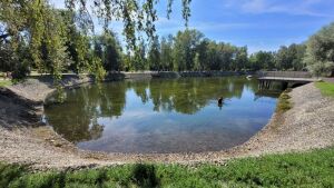 Водоохранное мероприятие: почему в казанском парке Урицкого обмелело озеро