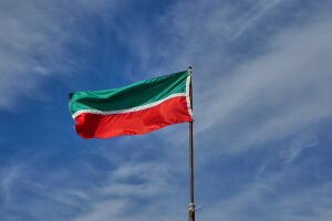 Татарстан занял 16-е место в рейтинге благосостояния семей