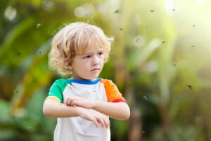Ребенка покусали насекомые: как помочь при зуде, отеке и когда вызывать врача