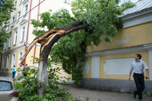 «Стихия испытала нас на прочность»: ущерб от июльского урагана в Казани компенсируют по методике МЧС