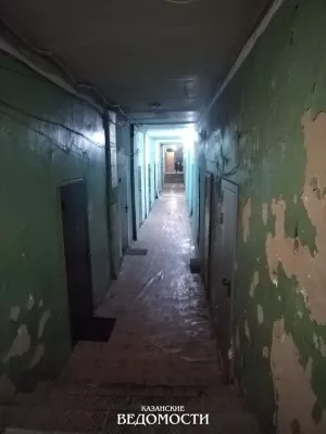 Капремонт в 2043-м и крысы на этажах: жители общежития на Технической бьют тревогу