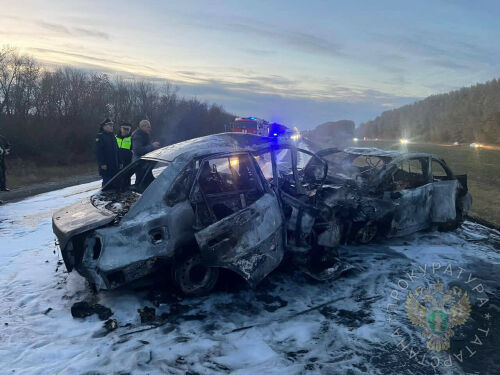 В Татарстане водители двух легковушек сгорели заживо после лобового столкновения