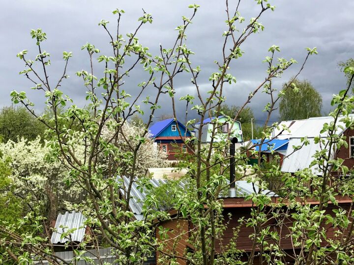 Весна красна боррелиозом: какие инфекции пришли в Татарстан вместе с ...