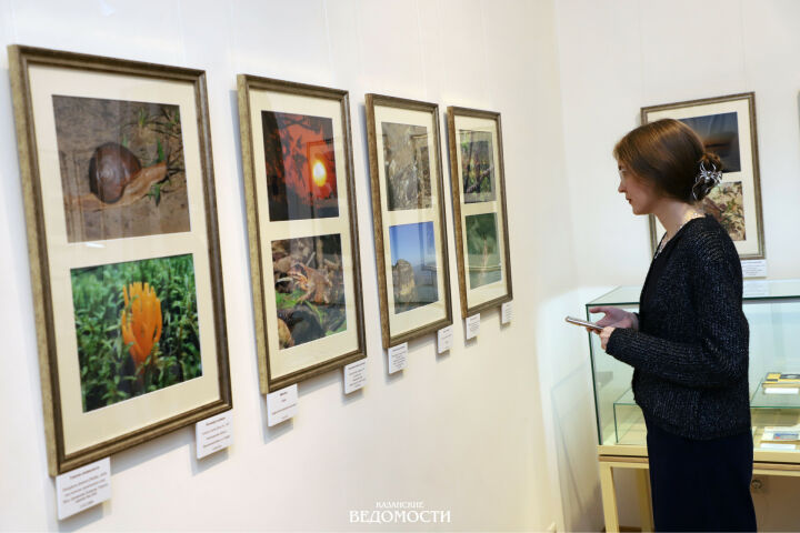 96 кадров о красоте и хрупкости мира от Константина Мильто-Лобачевского